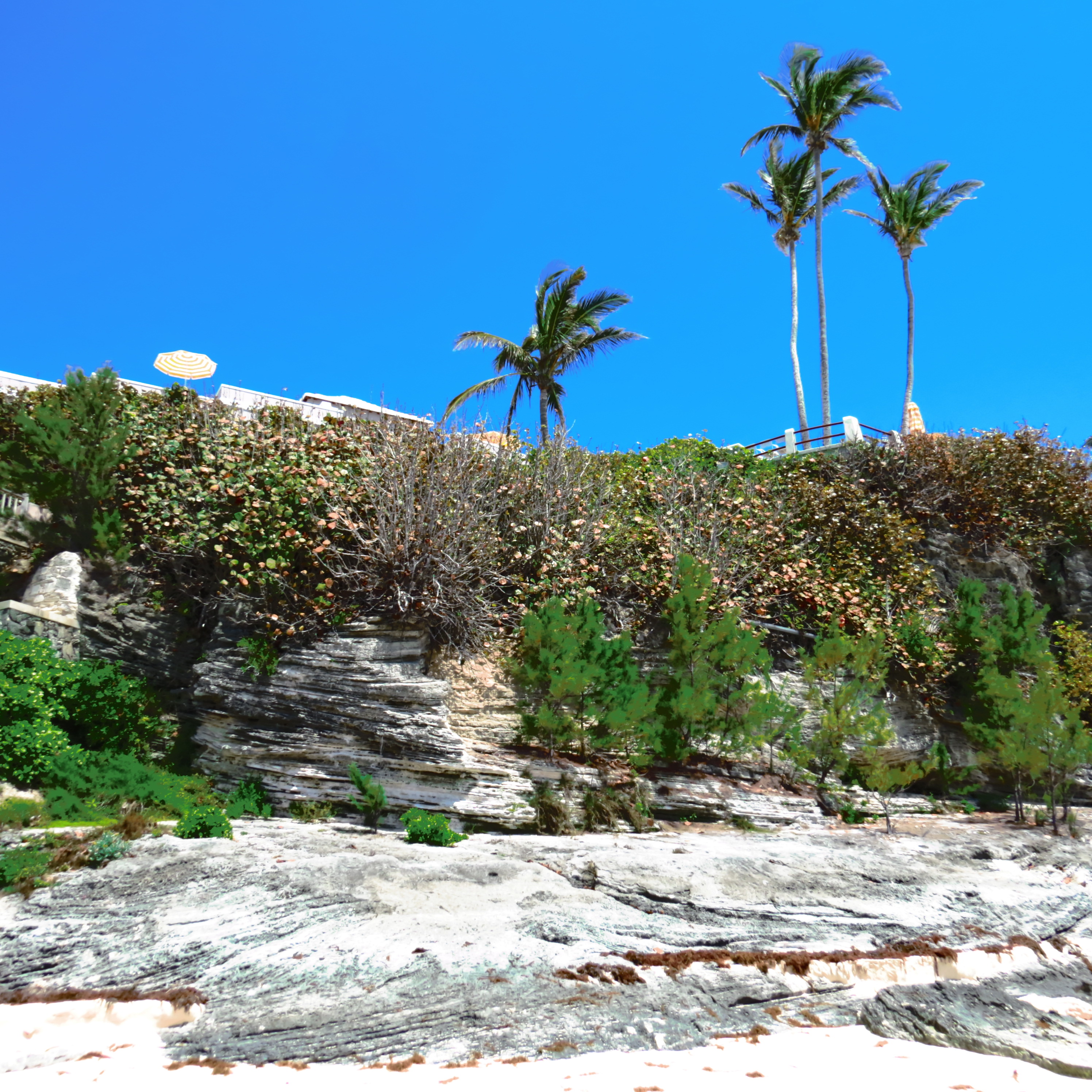 New Bermuda Destination Wedding Location and How to Plan Your Wedding Weekend There!