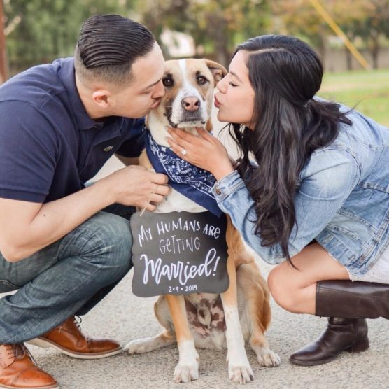 Bride and groom save the date