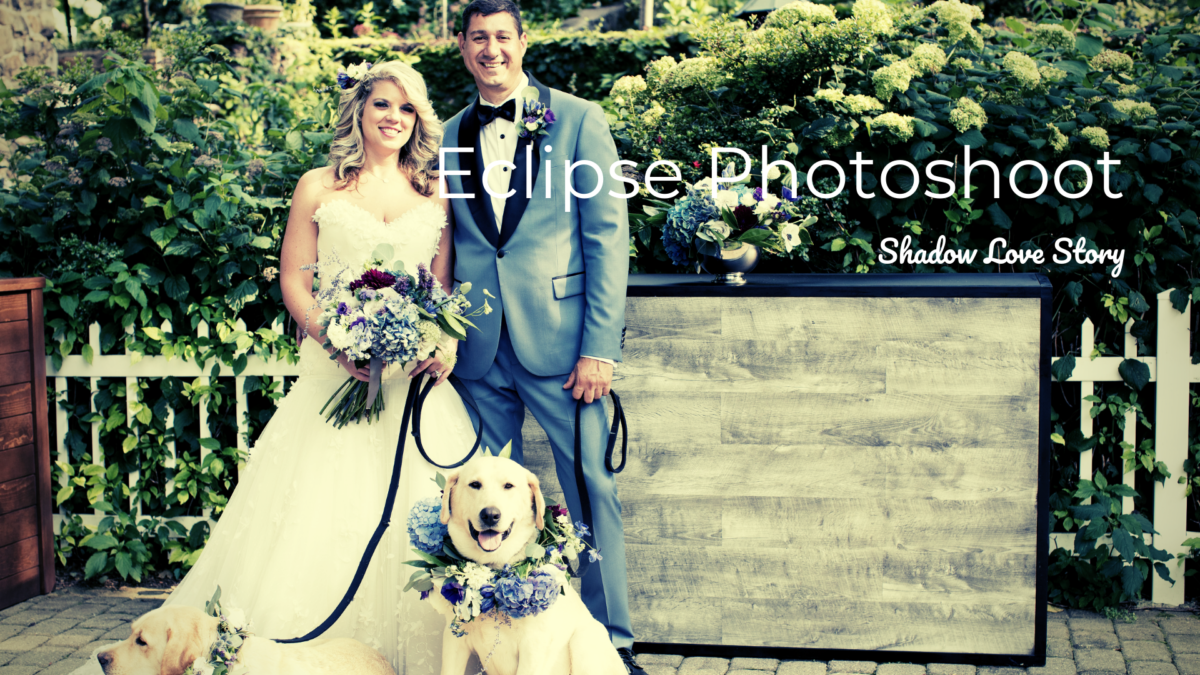 bride and groom with two dogs and flowers
