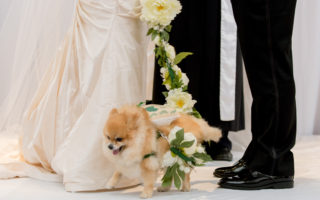 bride and groom with dog at wedding ceremony