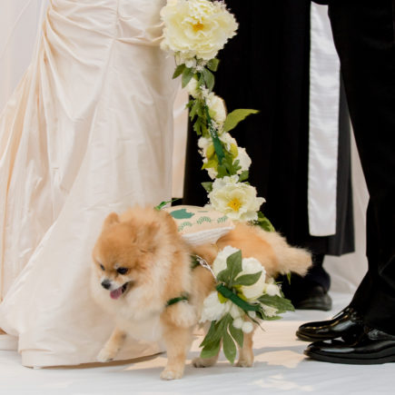 bride and groom with dog at wedding ceremony