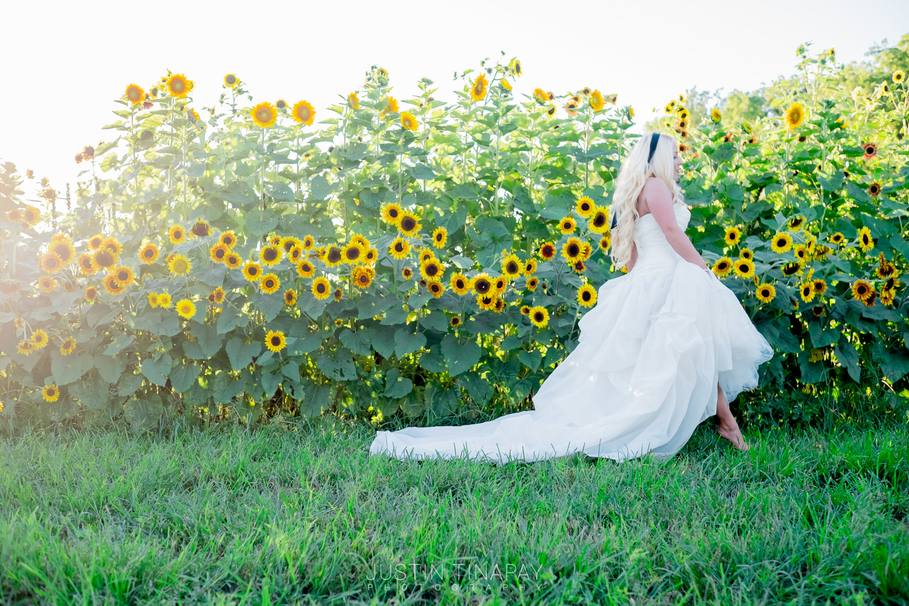 bride walking barefoot by sunflowers