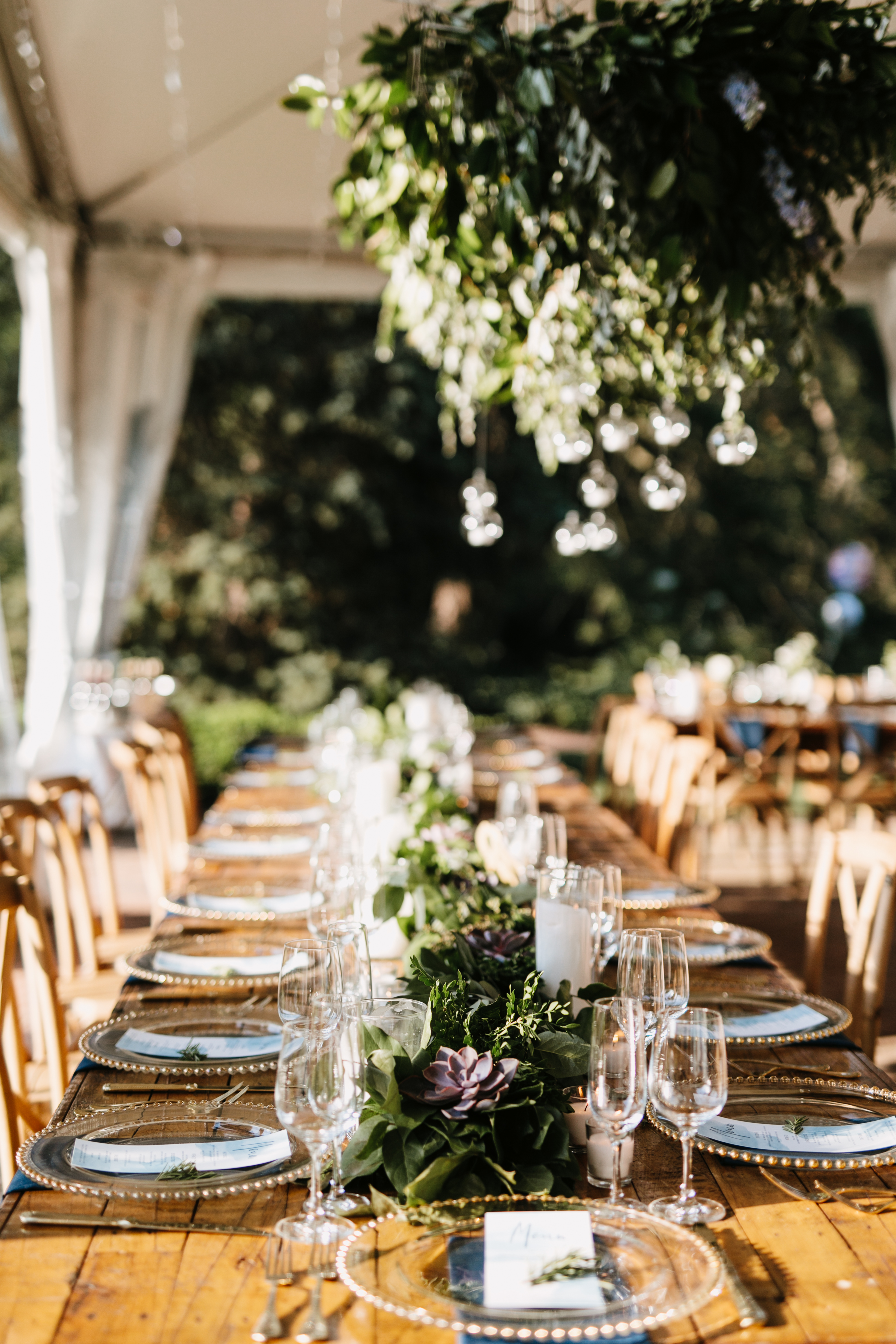 long farmhouse table with greenery hanging above for a wedding