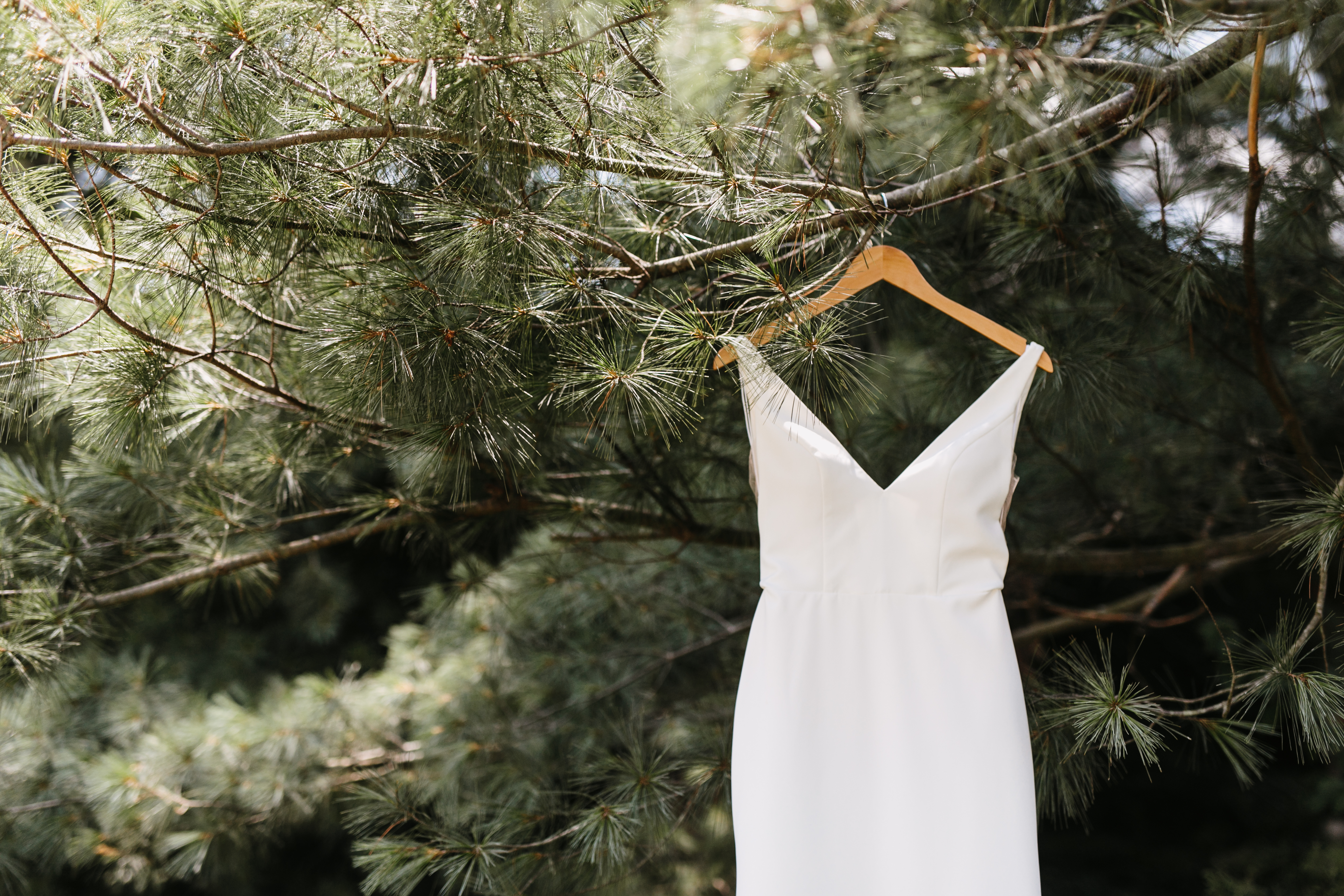 wedding gown on hanger in tree