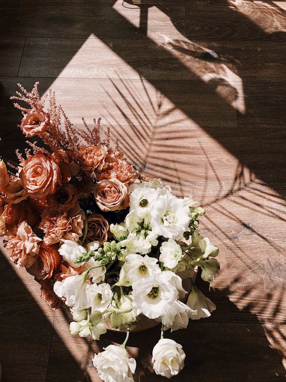 orange and white flowers