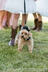 ct wedding planners