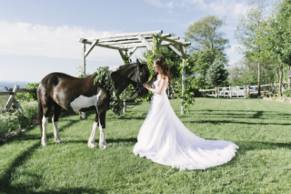 who is the most famous wedding planner
