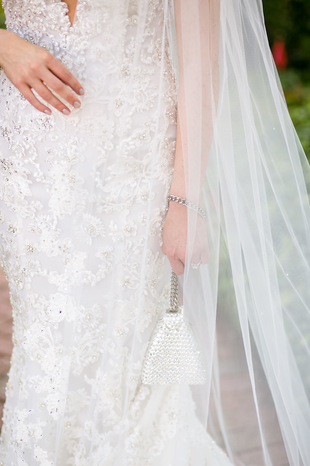 bride dress and veil