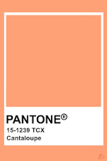 pantone cantaloupe