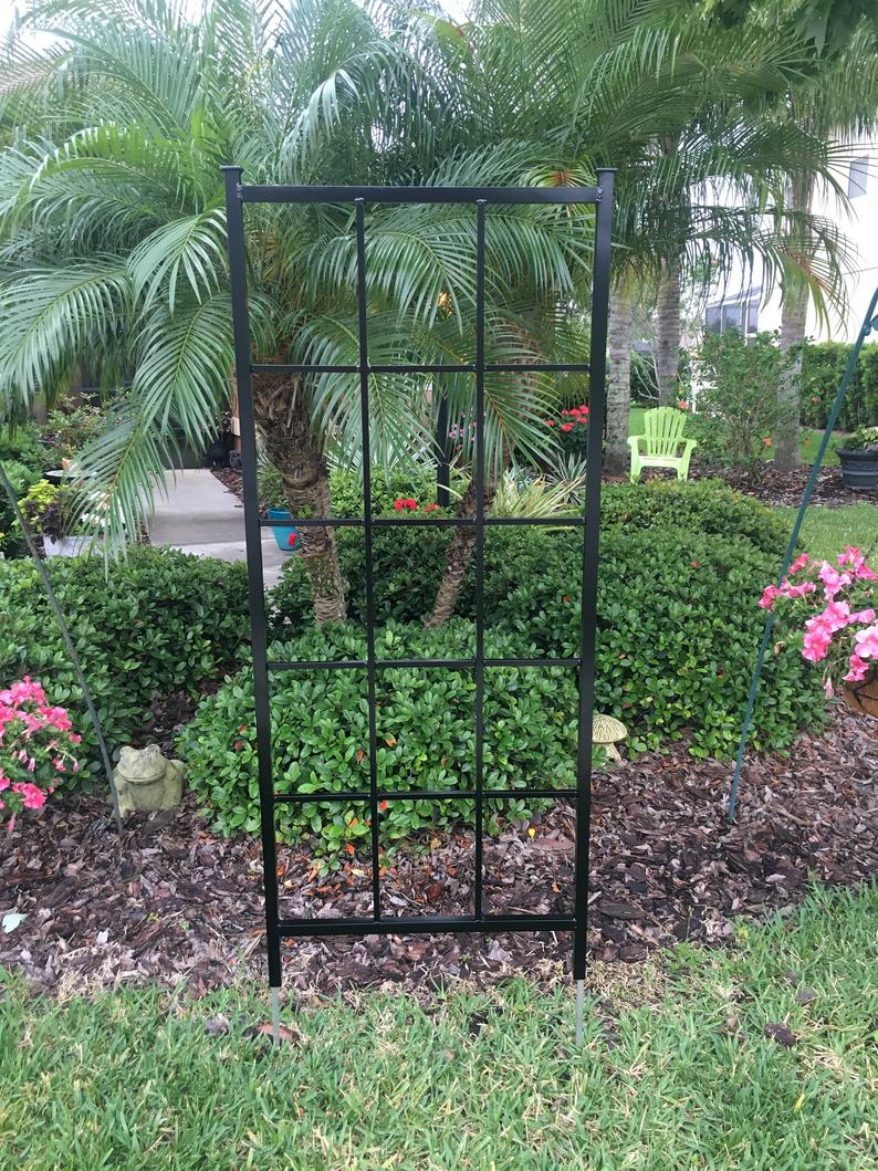 garden trellis for sale