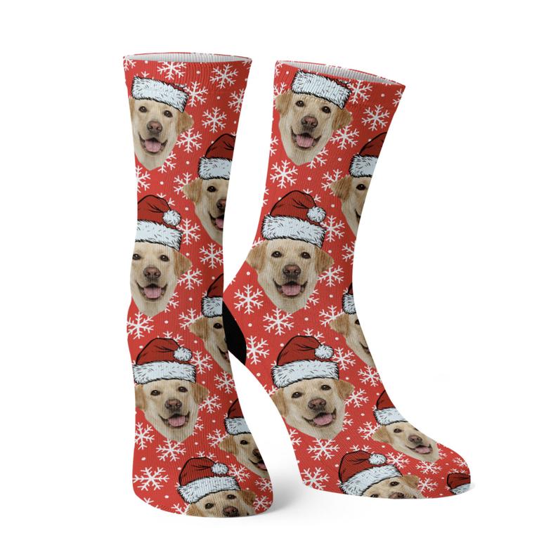 socks with pet photo