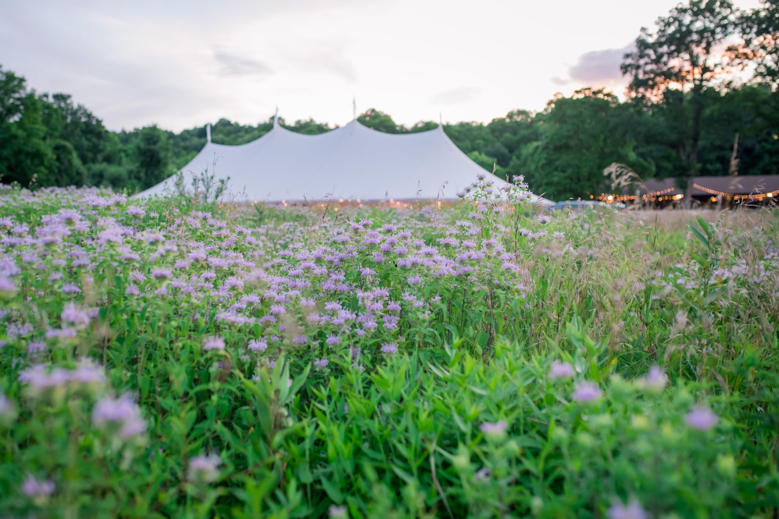 huge white sailcloth tent for outdoor wedding