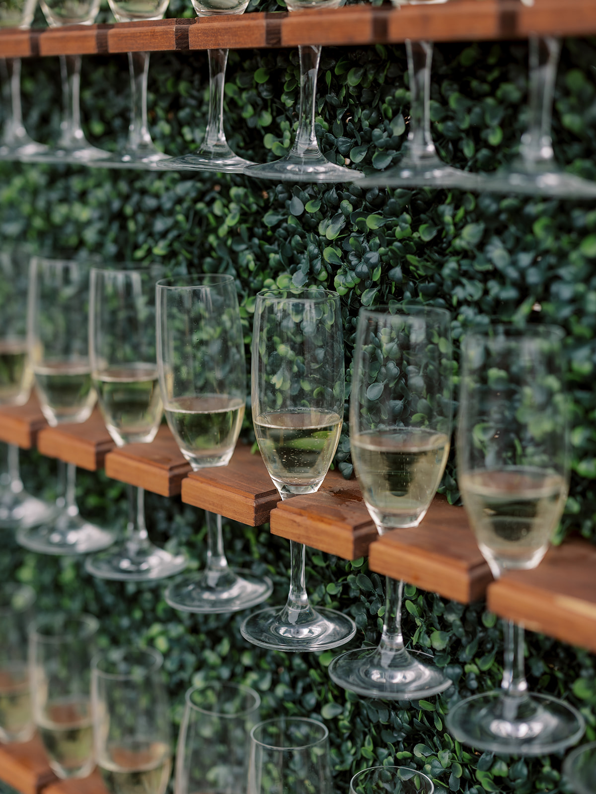 champagne flutes on boxwood wall