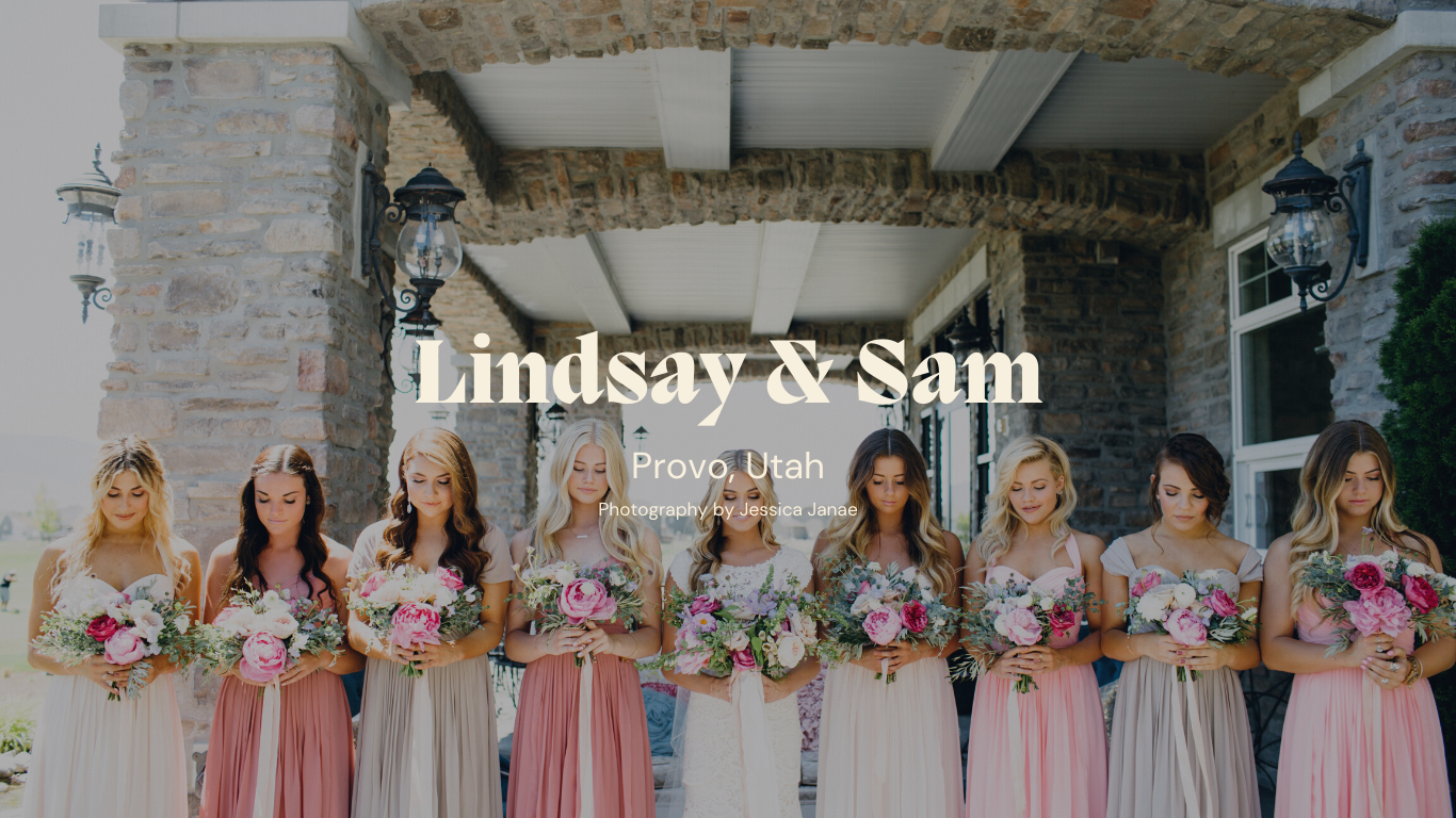 Lindsay Arnold's wedding party
