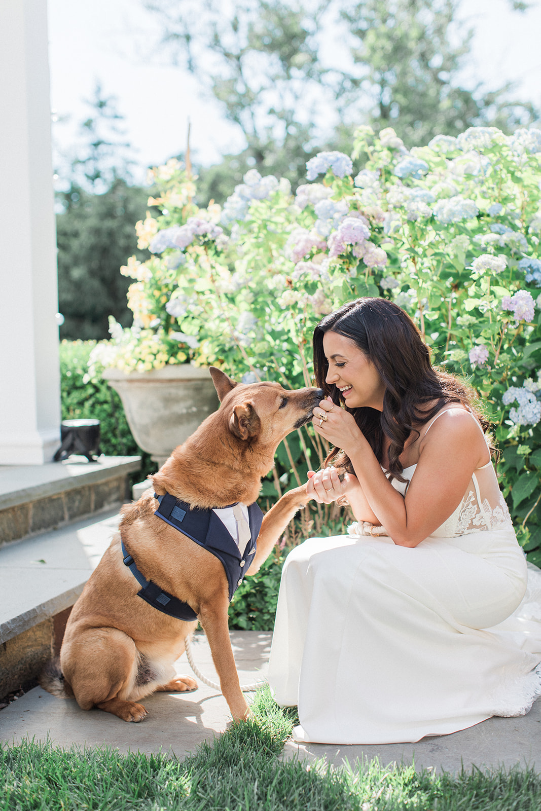 bride with dog