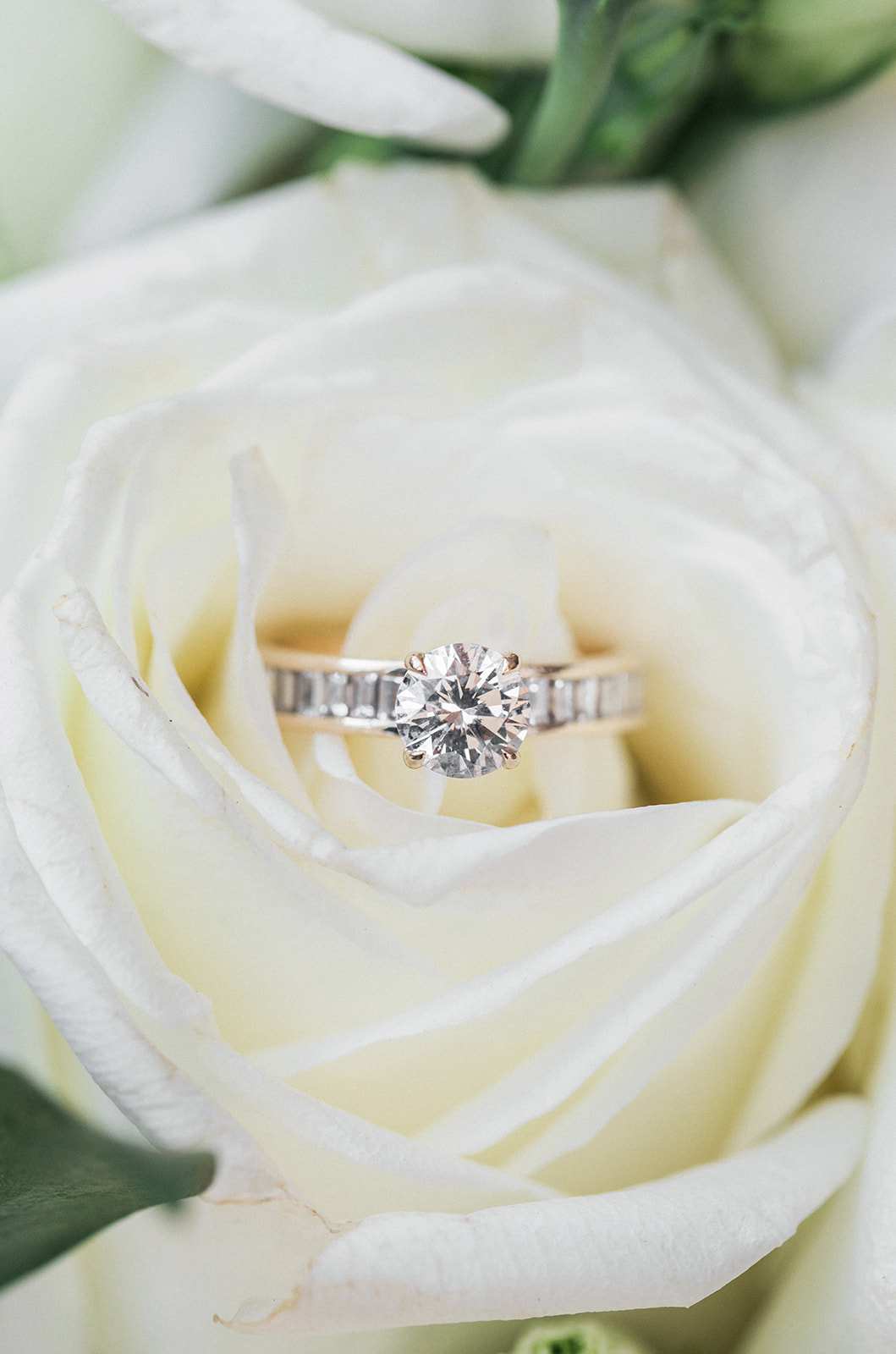 white rose with wedding ring