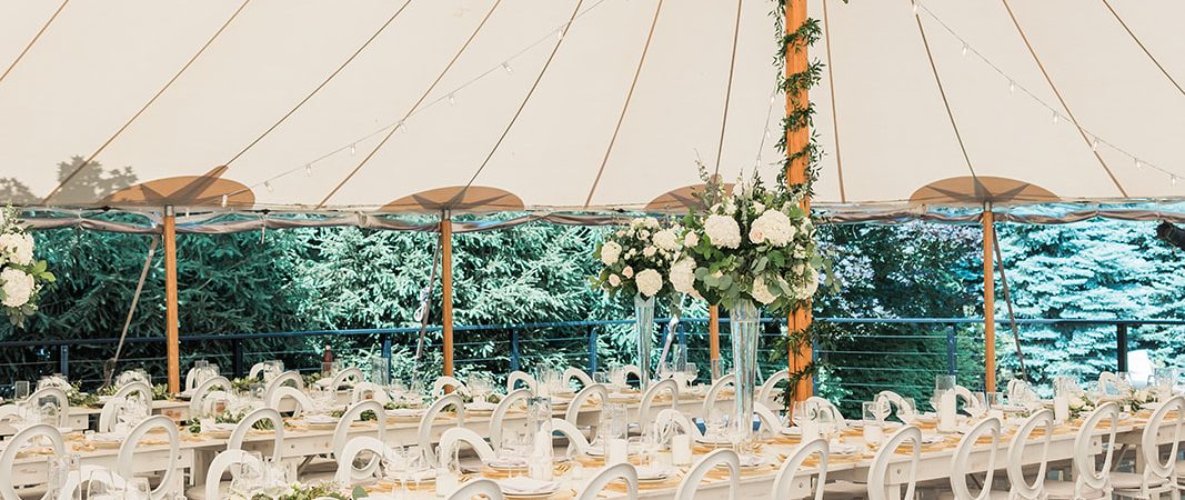 tent in a backyard wedding