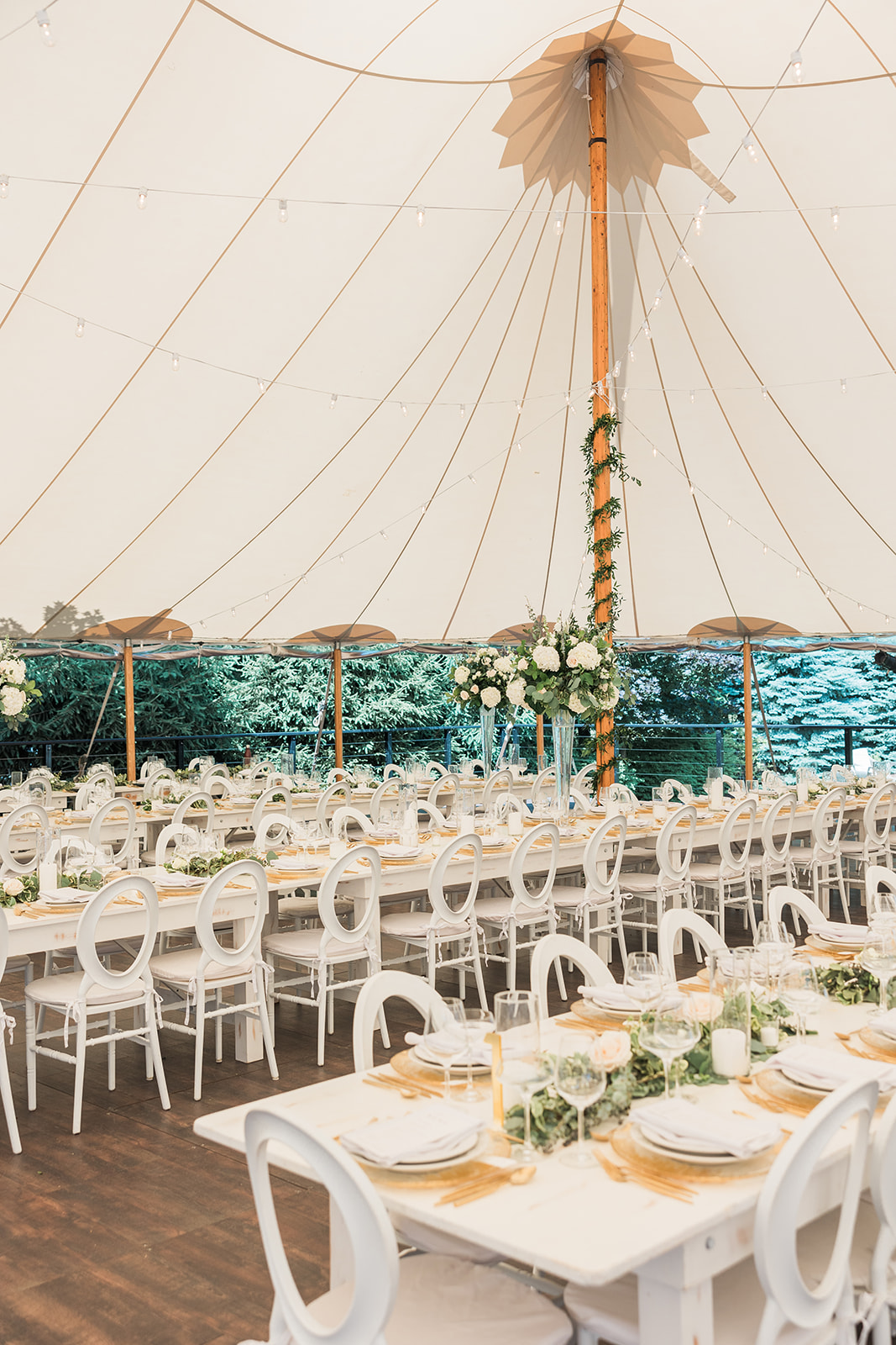 tent in a backyard wedding